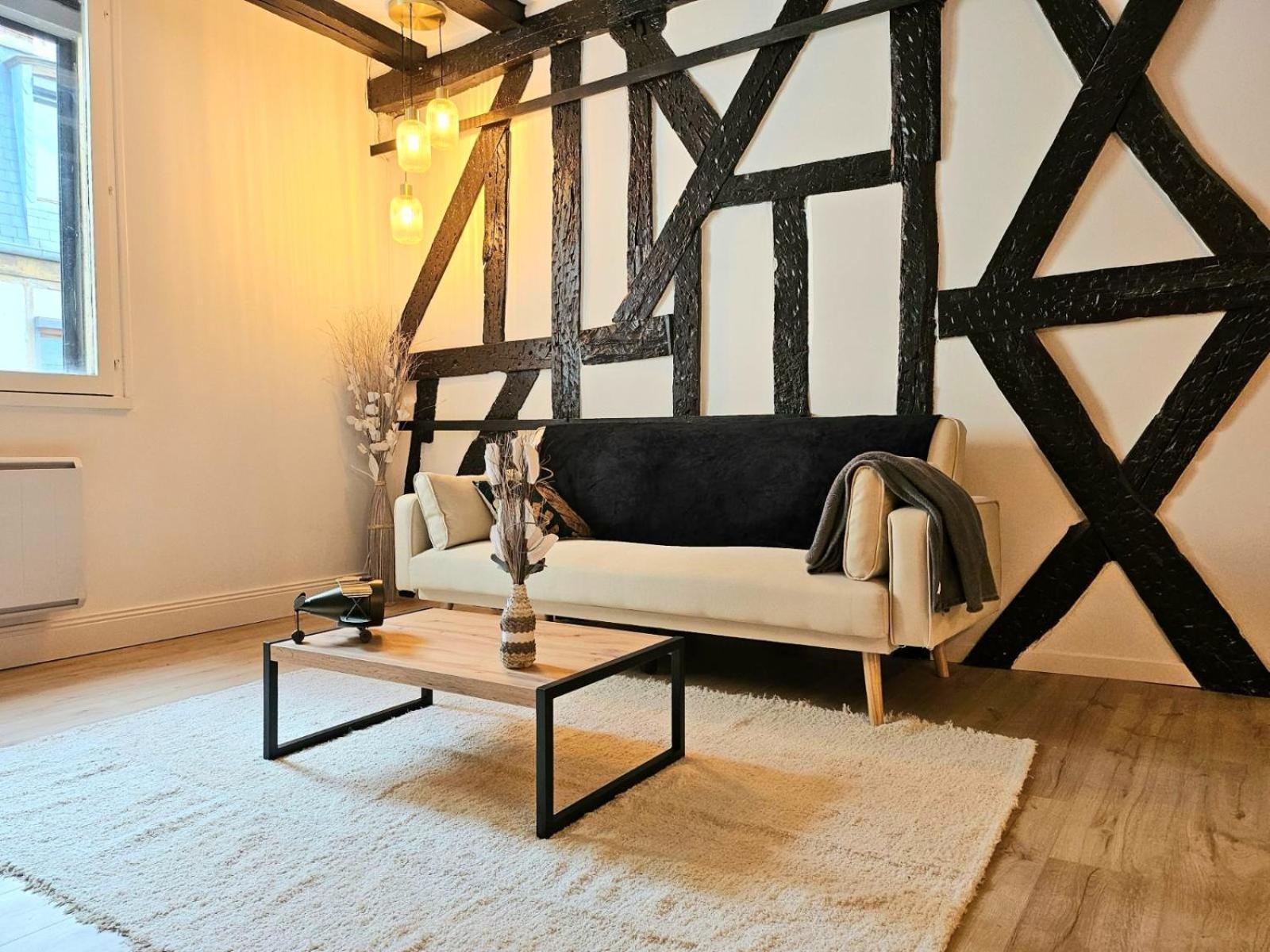 La Dame Blanche - Appartement Hypercentre Historique Bourges Exterior photo